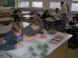 Studijní kresba větviček
